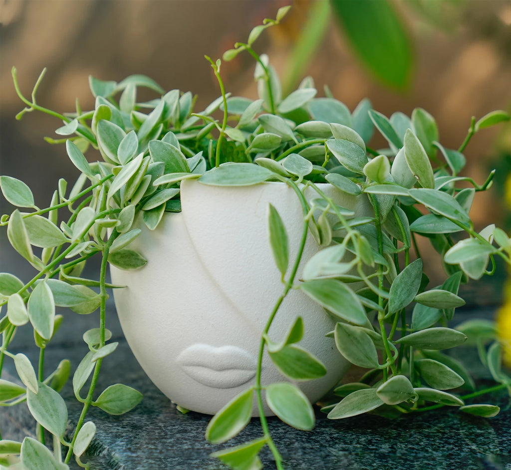 Ceramic Succulent Planter Pots for Indoor Plants with Drainage Holes, Herb Garden Head Planters Set of 2,White 5.4"W