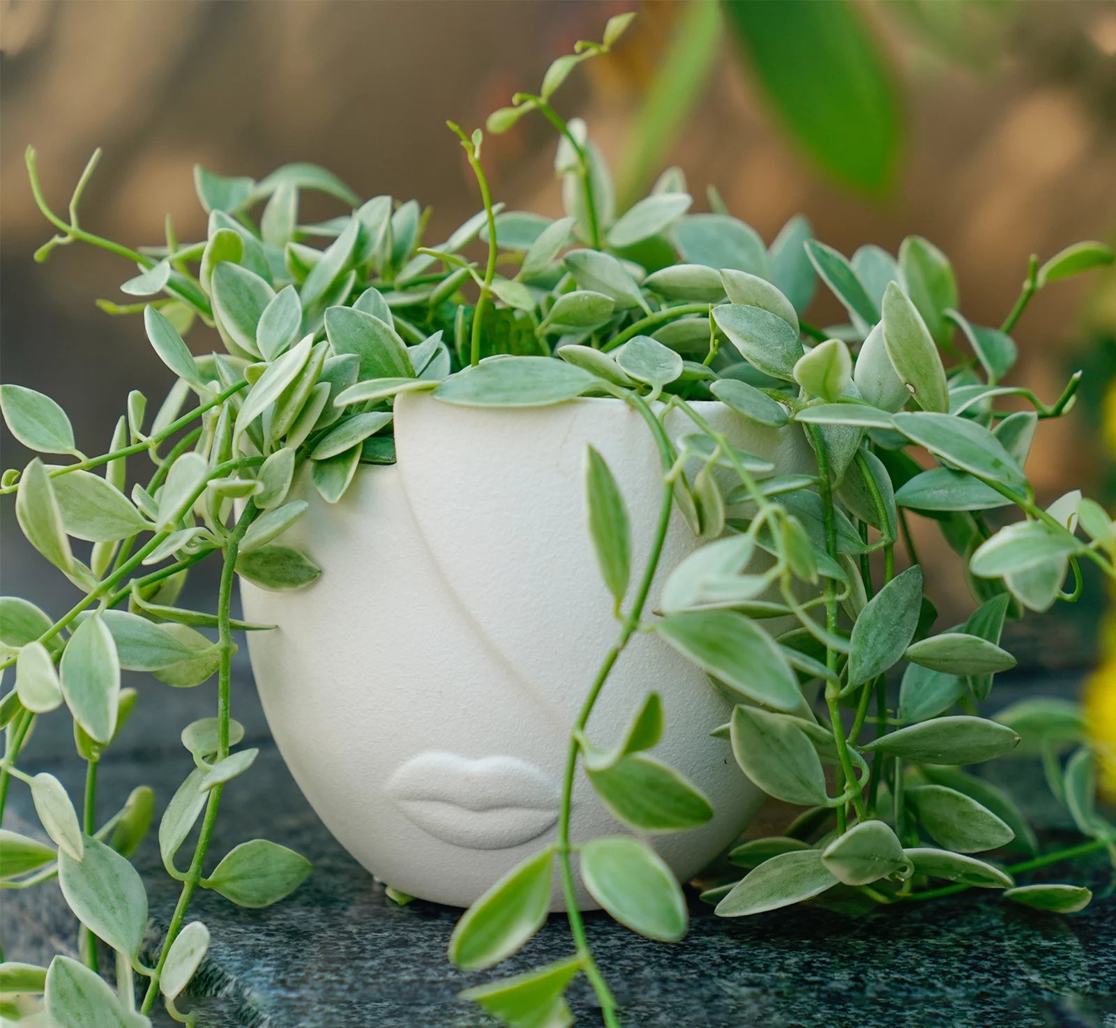Ceramic Succulent Planter Pots for Indoor Plants with Drainage Holes, Herb Garden Head Planters Set of 2,White 5.4"W
