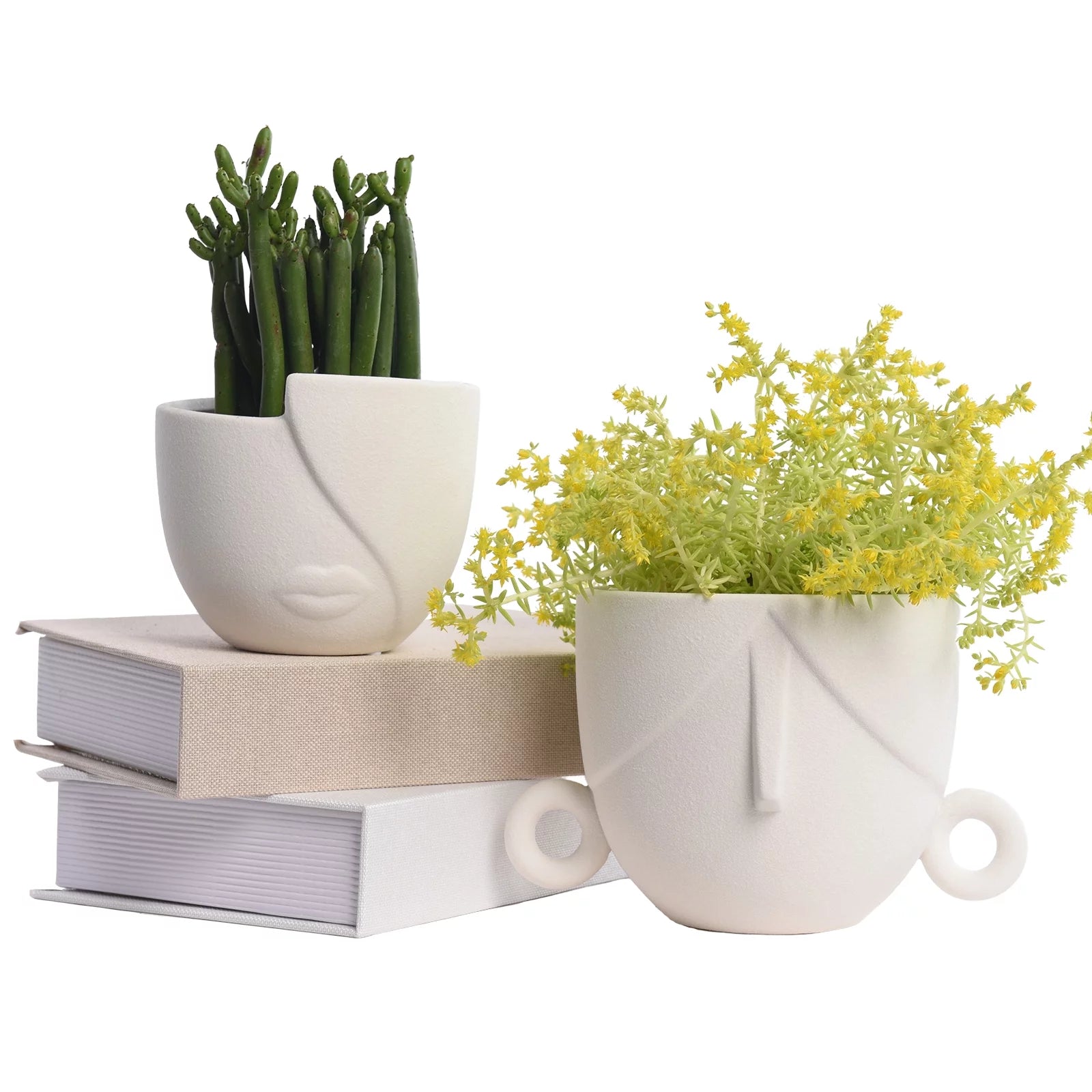 Ceramic Succulent Planter Pots for Indoor Plants with Drainage Holes, Herb Garden Head Planters Set of 2,White 5.4"W